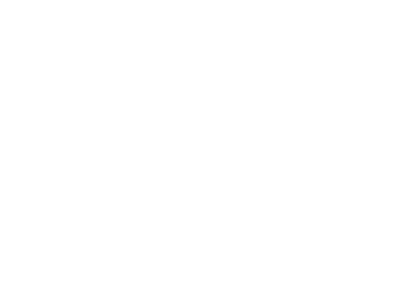 blohmvoss